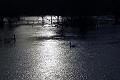 6. Flood